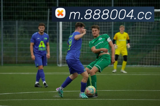 平台展示图